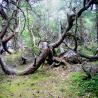 images/Schweden/Schweden 2009/IMG_4496.jpg